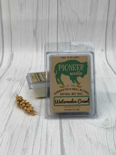 Watermelon Crawl Soy Wax Melt