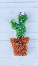 Load image into Gallery viewer, Cactus (Potted) Whiffer